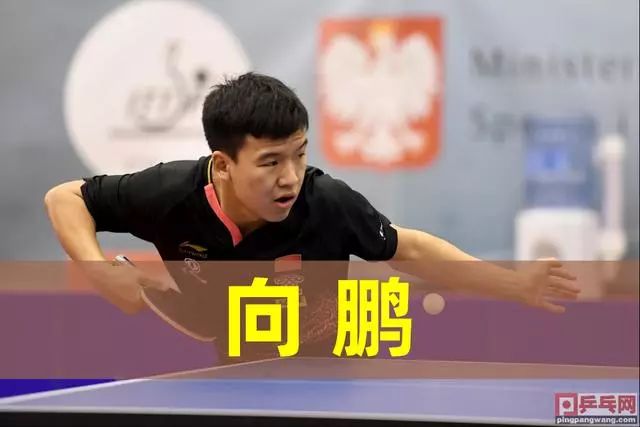 不僅昂首闖 不僅昂首闖