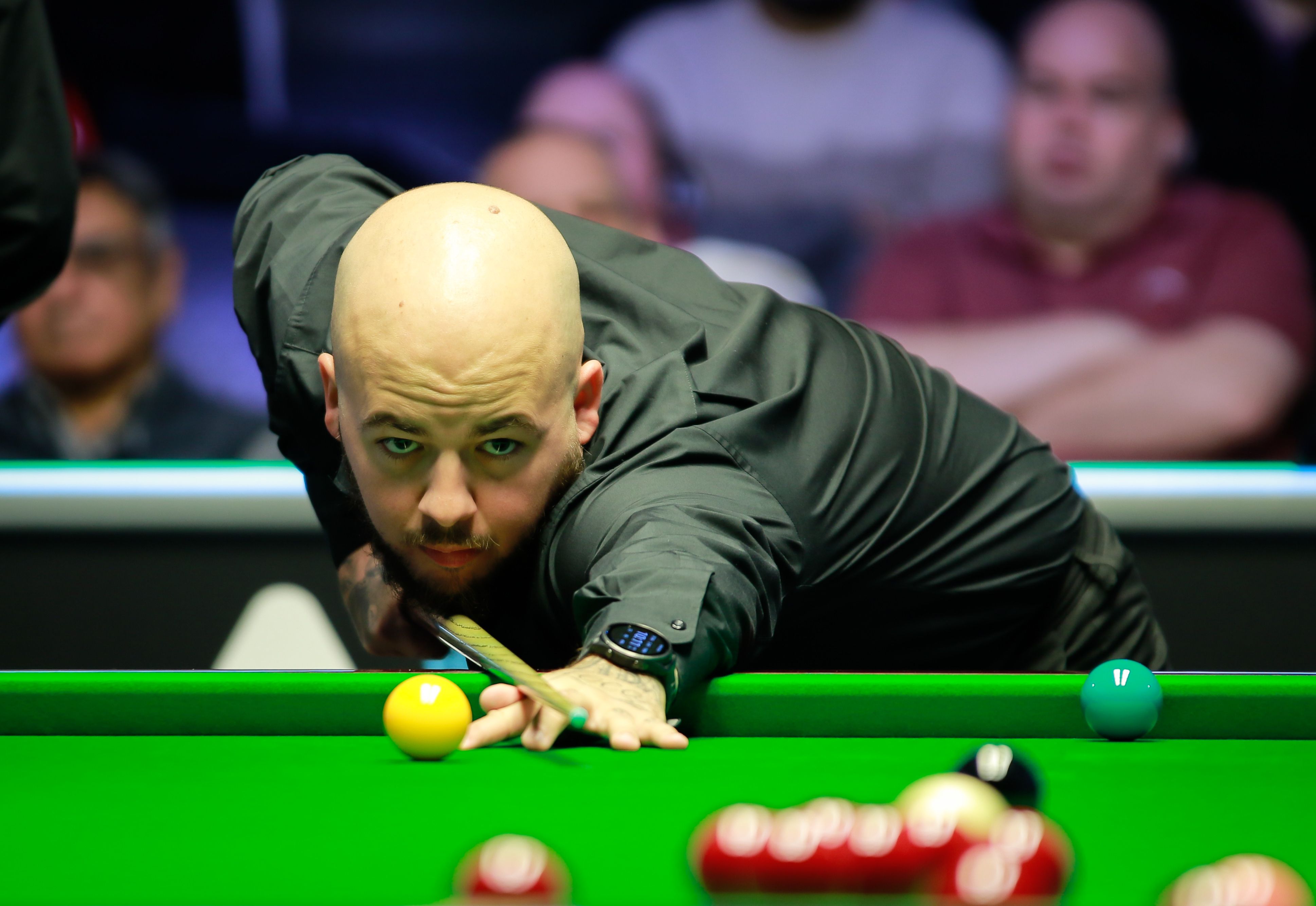 数增加15 数增加15