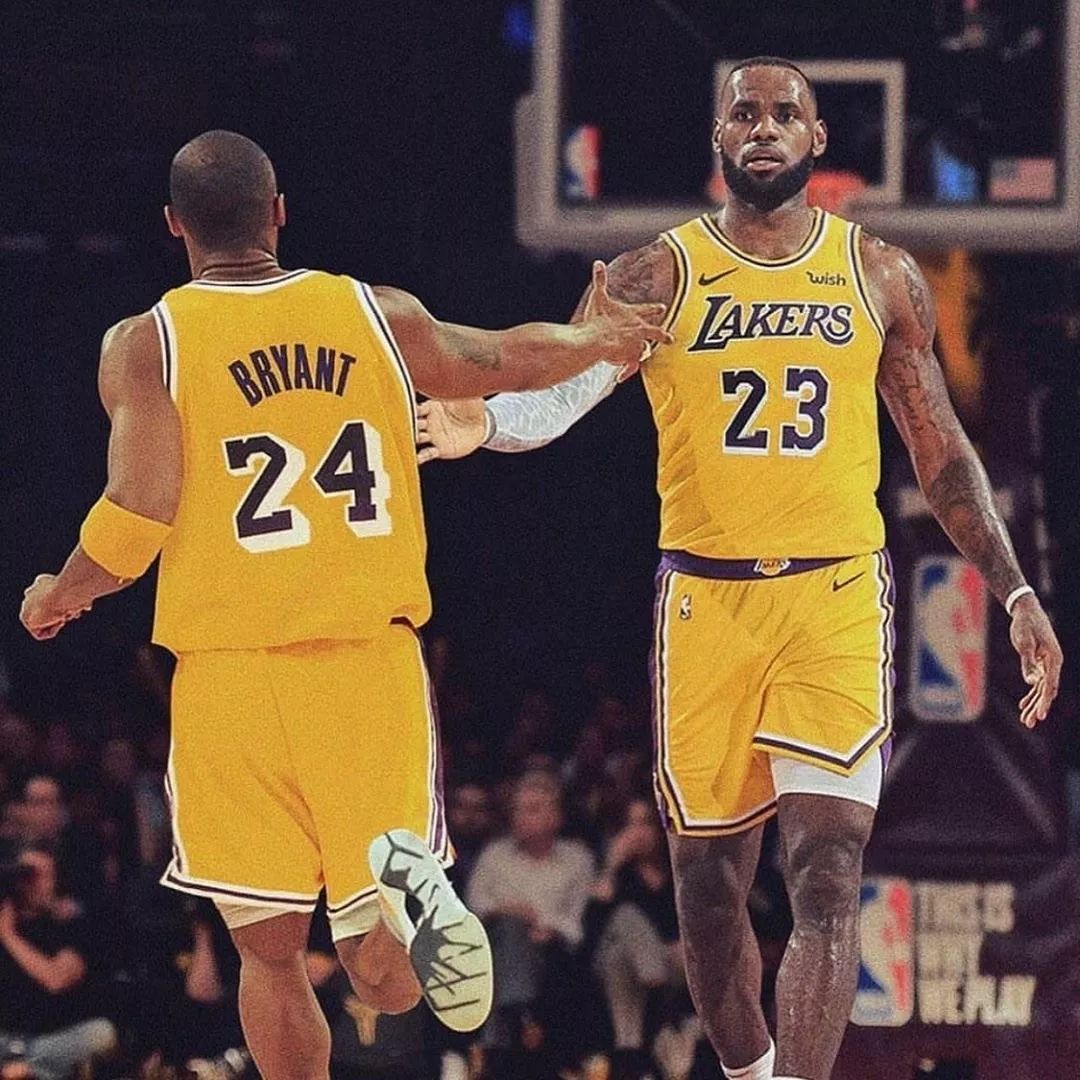 照系里解读 照系里解读